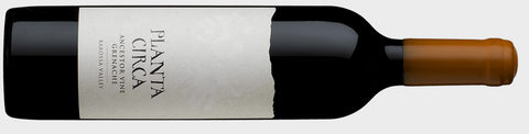 Purple Hands Planta Circa Ancestor Vine Grenache