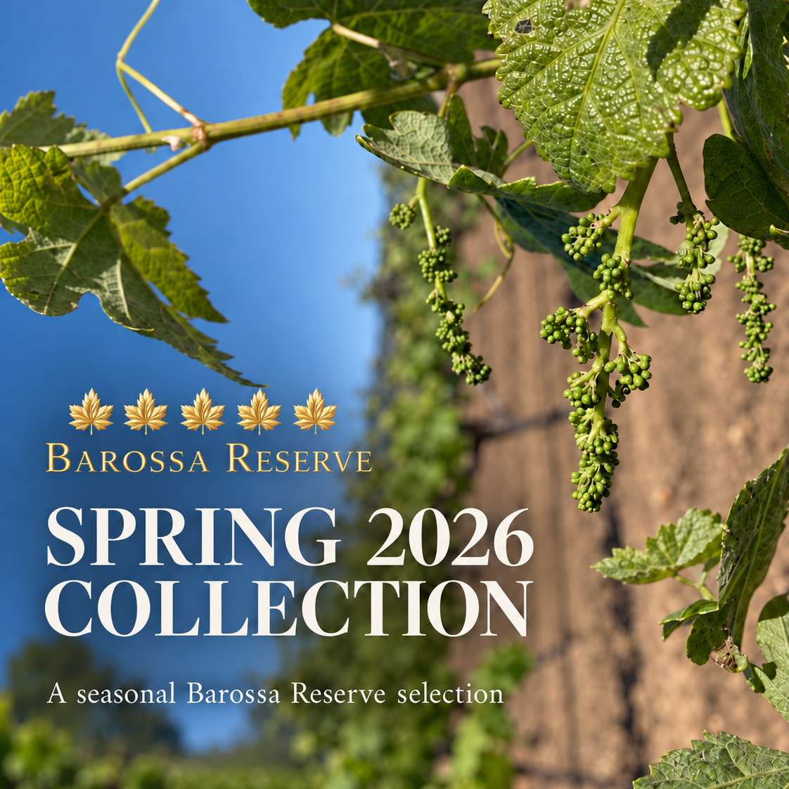 Spring 2026 Season Pack